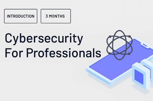Cybersecurity for professionals